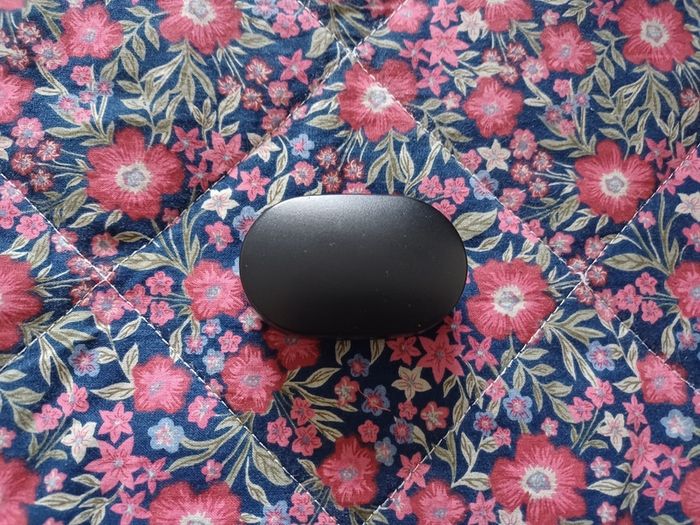 Earphone case