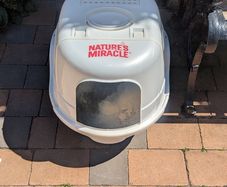 Cat Litter Box (Large)