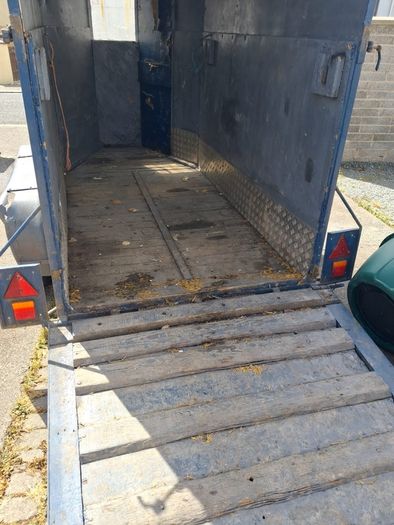 Double horsebox