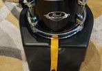 Pearl Export 8