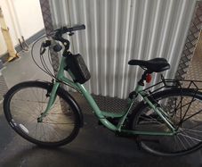 Ridgeback girls bike 19"