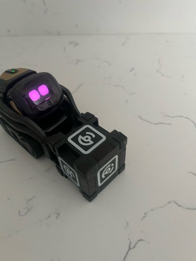 Anki Vector