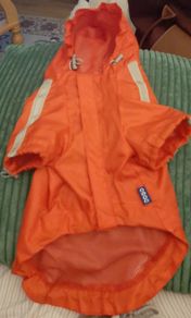 Dog raincoat