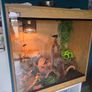 HabiStat Vivarium Image 2