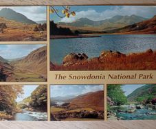 Postcard
