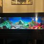 reptile vivarium Image 3