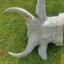 Butcher shop display bull head Image 4