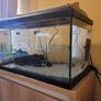 Aquarium with pump and plants Image 6
