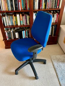 Premium Ergonomic Office Chair