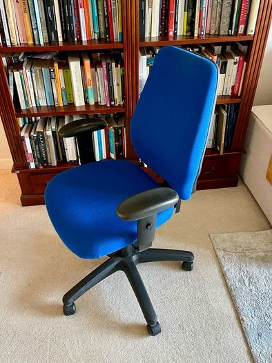 Premium Ergonomic Office Chair