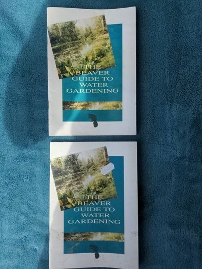 The Beaver Guide To Water Gardening