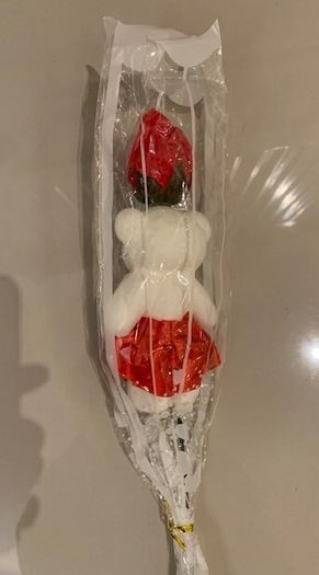 Teddy Rose