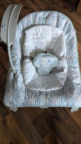 Baby Bouncer