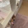 Kids house Bed Image 5