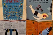 Facts!: One for every day of the year by Tracey Turner