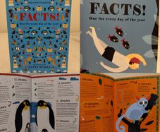 Facts!: One for every day of the year by Tracey Turner