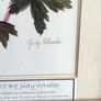Lovely Gray Framed SOUTH AFRICAN BOTANICAL ART BY Judy Wheeler Geranium Family Monsania attenuata Geranium pulchrum Image 3