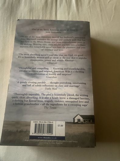 American Wife book