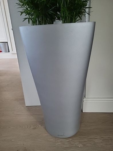 Chamaedorea Elegans planter