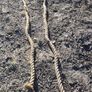 Hay Bogie Ropes Image 3