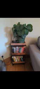 3 tier trolley