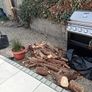 Free logs to take away today Image 3