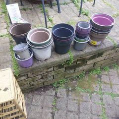 selection of plant pots