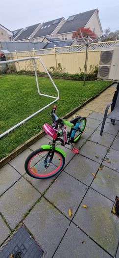 20 inch Milan girls bike