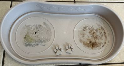 Dog bowl holder