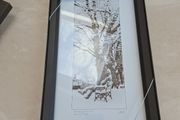 Patrick Donald framed Photo." Patrick Kavanagh/Grand canal Dublin Winter".