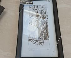 Patrick Donald framed Photo." Patrick Kavanagh/Grand canal Dublin Winter".