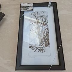 Patrick Donald framed Photo." Patrick Kavanagh/Grand canal Dublin Winter".