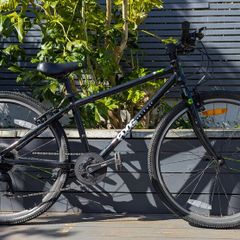 Frog Bike