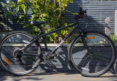 Frog Bike