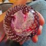 Caithness Vintage Glass Paperweights Image 3