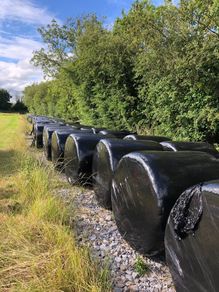 Silage