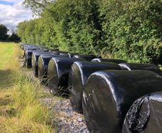 Silage