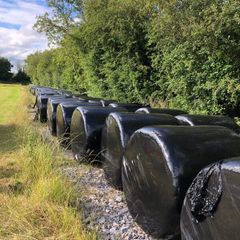 Silage