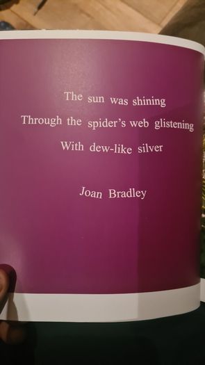 How We Survived And Suprised. A Collection Of Writing By Polio Survivers In Ireland. Large Volume Book In Very Good Condition.