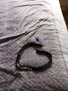 Bike lock