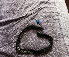 Bike lock