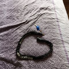 Bike lock