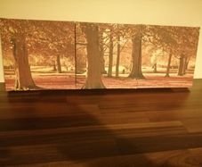 canvas pic