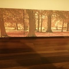 canvas pic