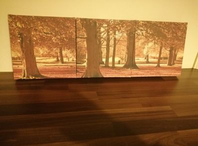 canvas pic