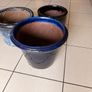 Ceramic flower pots (3) Image 2