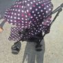 cosatto pushchair / buggy / stroller Image 4