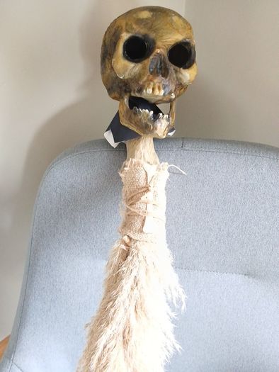 Halloween/fancy dress costume