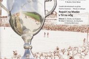 2013 Armagh GAA Minor &amp; Intermediate County Football Finals Programme