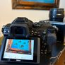 Nikon Z5 + NIKKOR Z 40mm f/2 + FTZII adapter Image 4